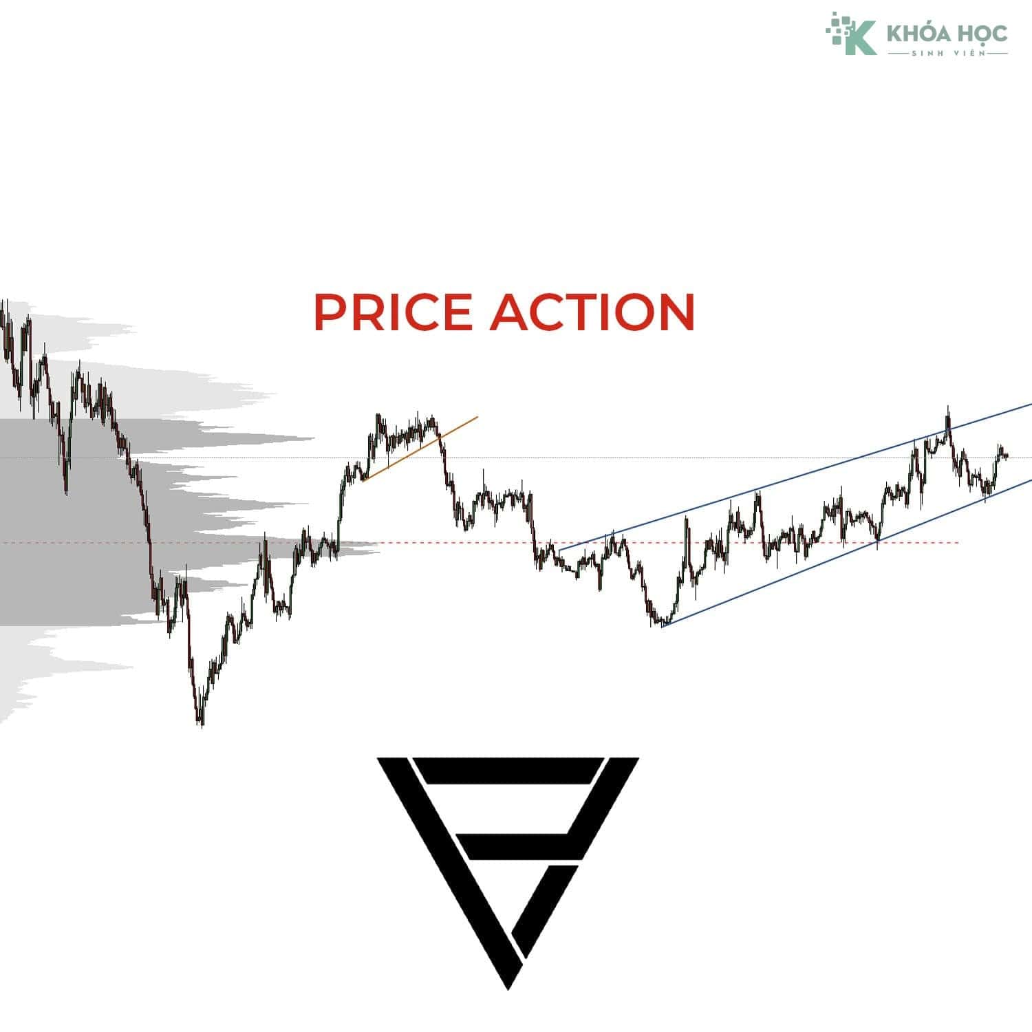 Khoá Học Trading with Price Action and Volume Profile [Kèm Vietsub]