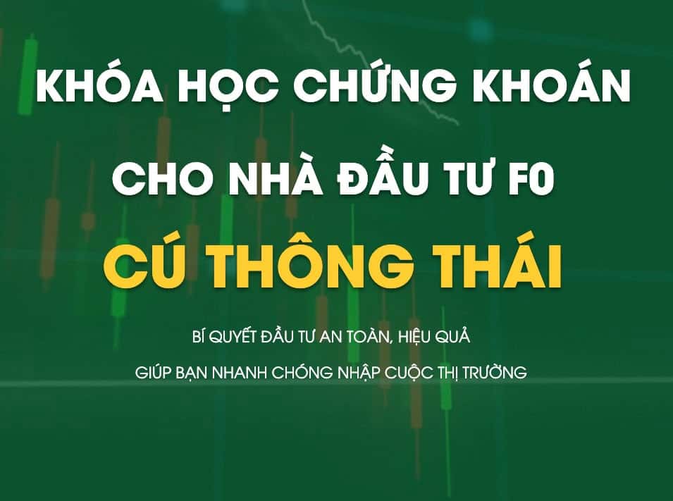 Khóa Học Chứng Khoán Cho Nhà Đầu Tư F0 - Cú Thông Thái