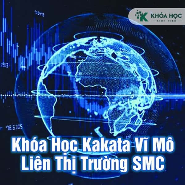 Khóa Học Kakata Vĩ Mô Liên Thị Trường SMC