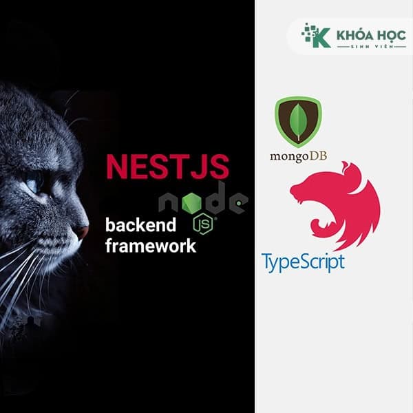 Khóa Học Nest.JS Với TypeScript/MongoDB Hoidanit