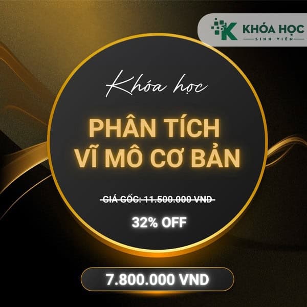 Khoá Học Phân Tích Vĩ Mô Cơ Bản của Koliaphan