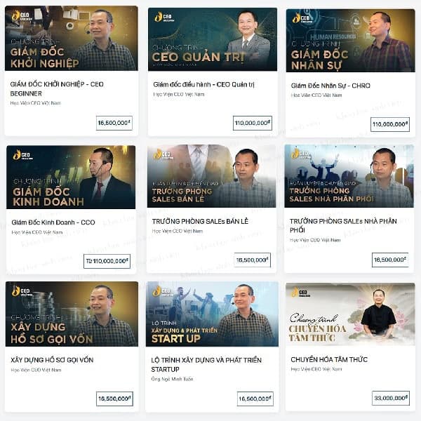 Trọn bộ Học Viện CEO Việt Nam của Thầy Ngô Minh Tuấn