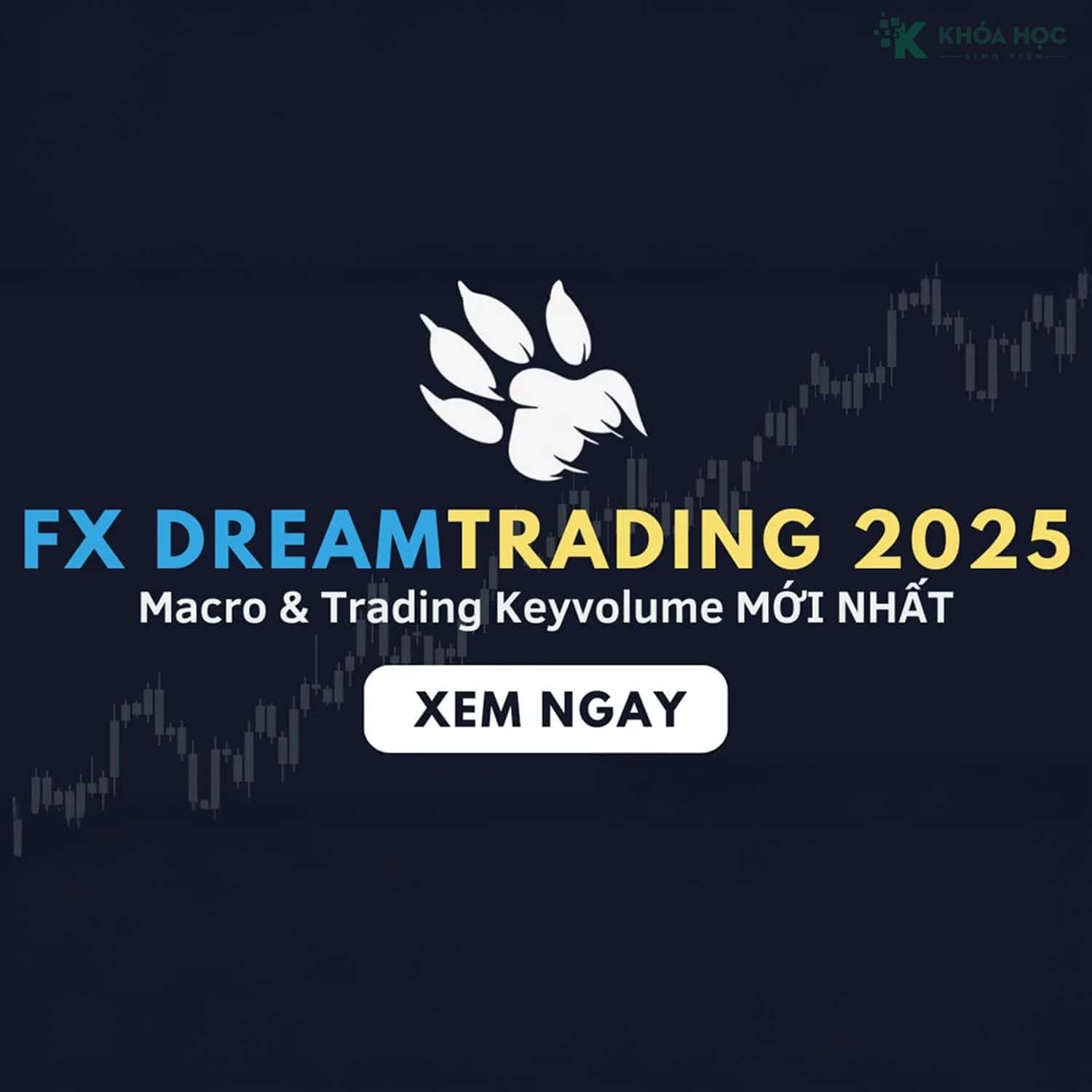 FX Dream Trading 2025 – Học Macro & Trading Keyvolume