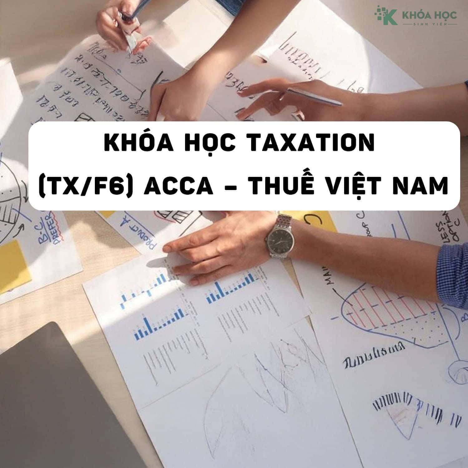 Khóa học Taxation (TX/F6) ACCA – Thuế Việt Nam Cùng SAPP Academy