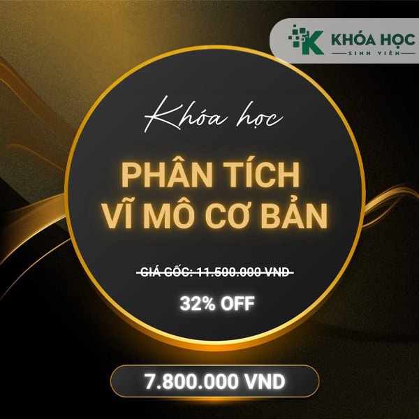 Khoá Học Phân Tích Vĩ Mô Cơ Bản của Koliaphan