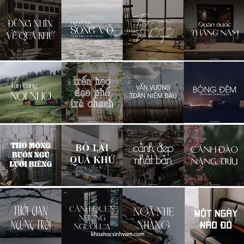 Trọn bộ 250 Font Việt Hoá 2023