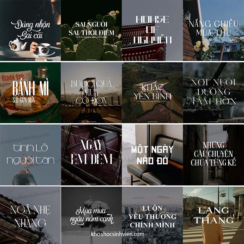 Trọn bộ 250 Font Việt Hoá 2023
