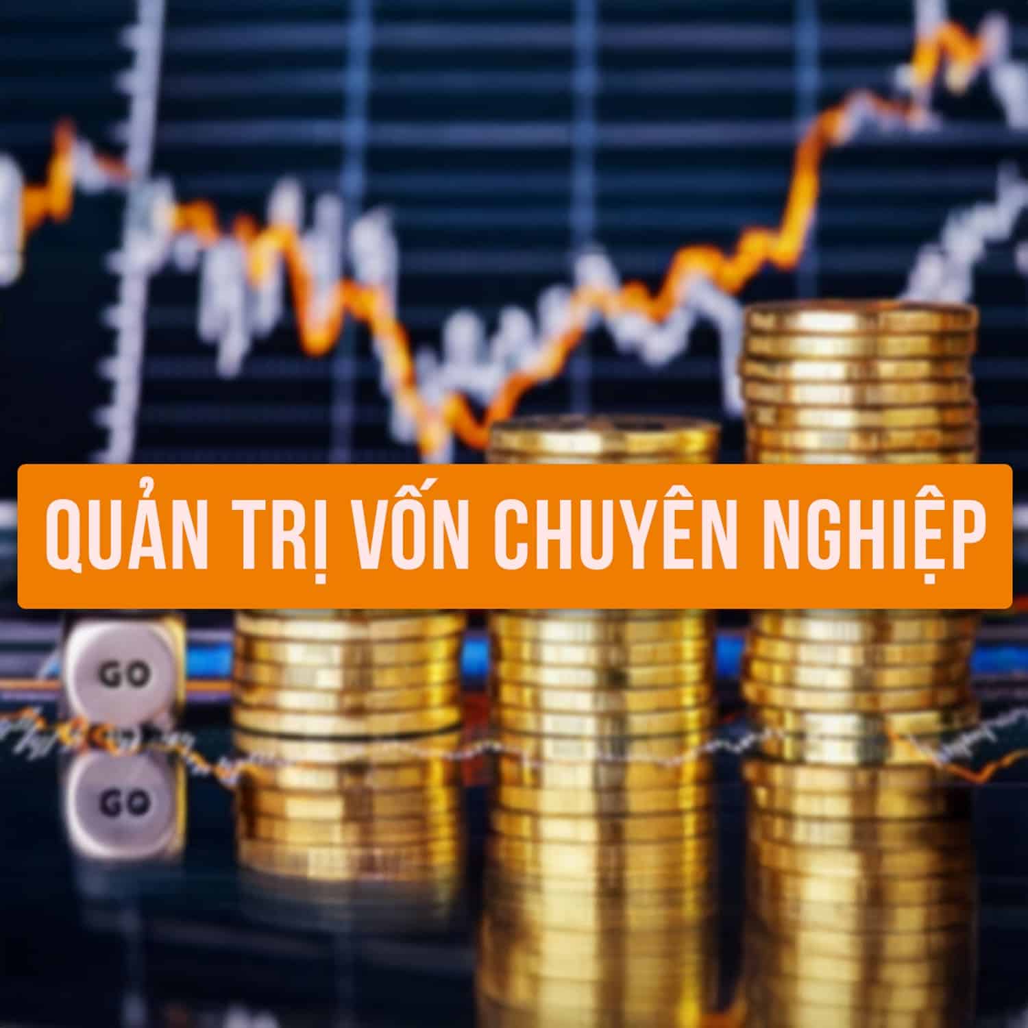 Quản Trị Vốn Chuyên Nghiệp Trong Đầu Tư Cùng DaVinci Academy