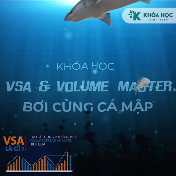 Share Khóa Học VSA & Volume Master – Bơi Cùng Cá Mập Cùng Vnrebates