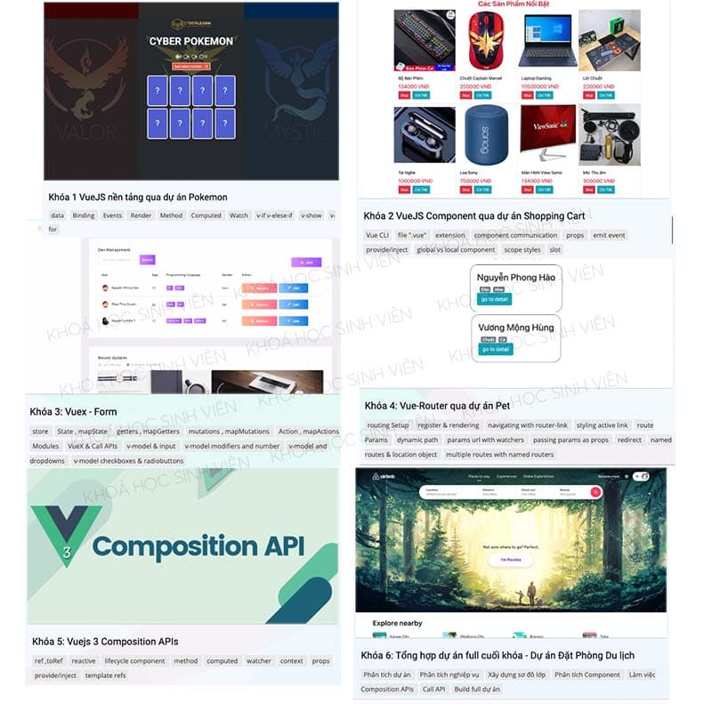 Combo 6 khóa học lập trình Frontend VueJS