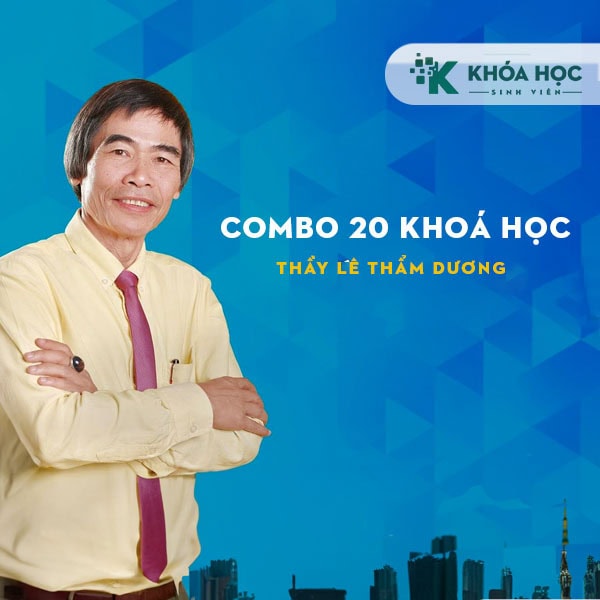 Combo 20 khoá học thầy Lê Thẩm Dương