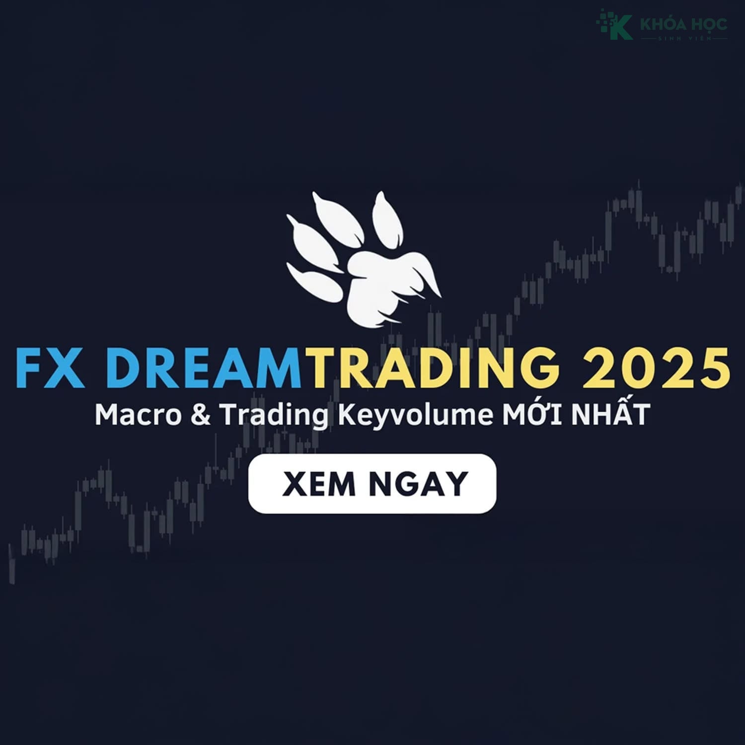 FX Dream Trading 2025 – Học Macro & Trading Keyvolume