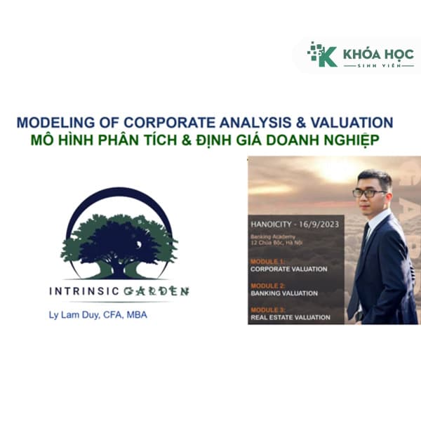 Phân Tích BCTC Và Financial Modeling Cùng Intrinsic Garden