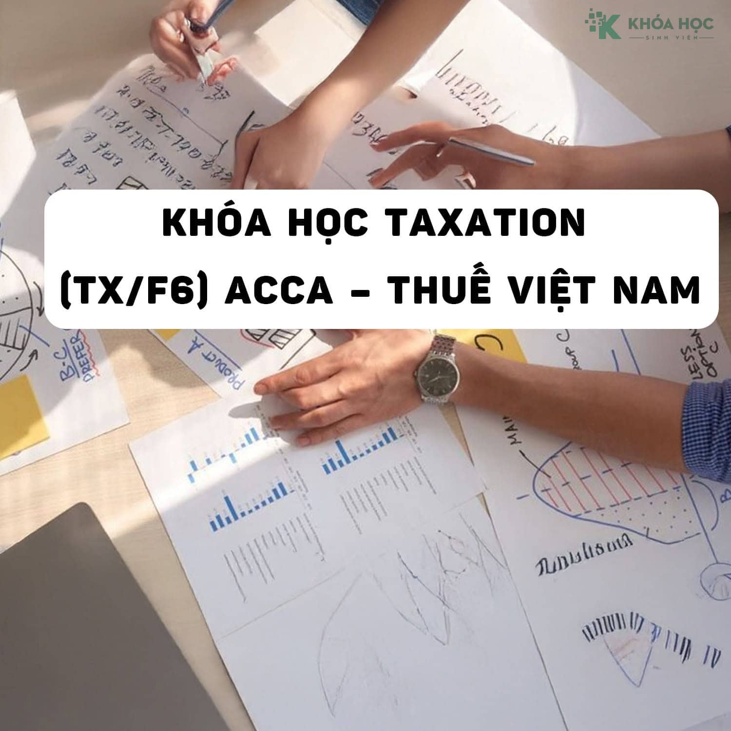 Taxation (TX/F6) ACCA – Thuế Việt Nam Cùng SAPP Academy