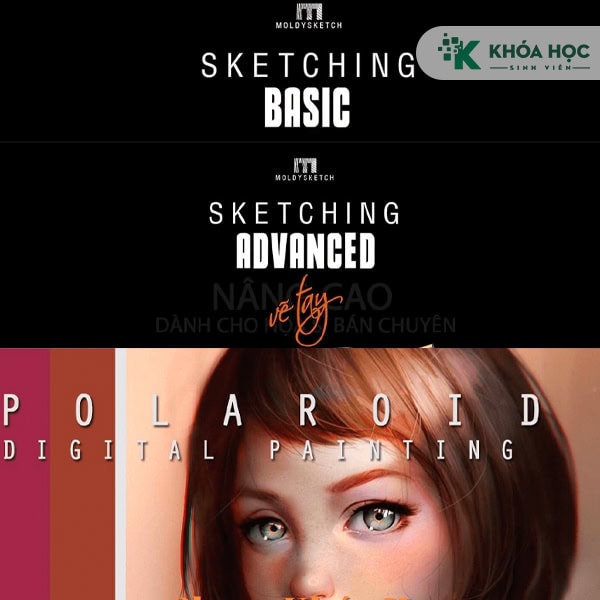 Combo 3 Khoá Học Digital Paiting Cùng Moldysketch