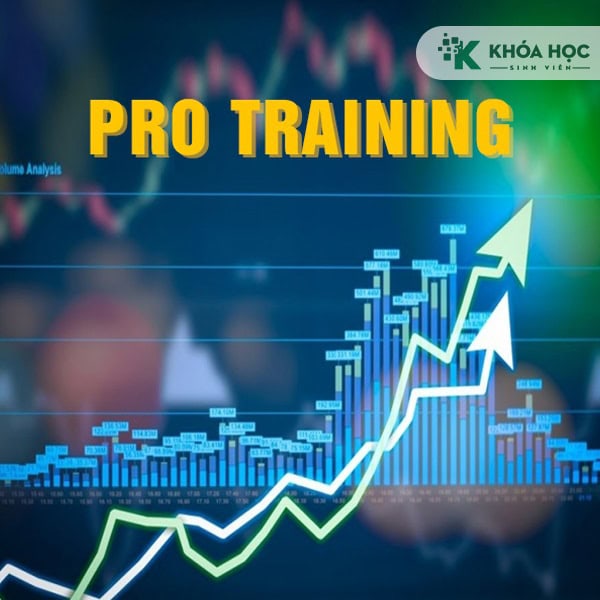 Combo khóa học Nukida khoá B: Pro Training