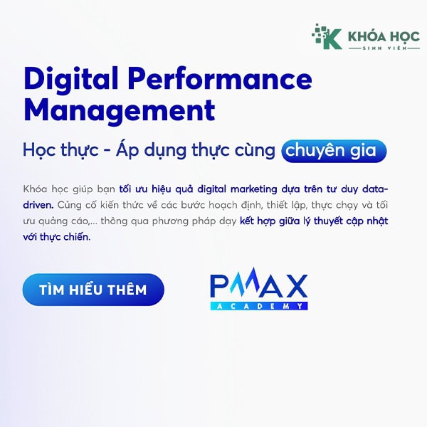 PMAX Digital Performance Management