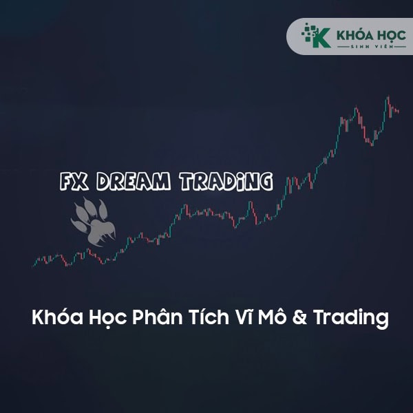 Khóa Học Phân Tích Vĩ Mô & Trading Cùng Fxdreamtrading