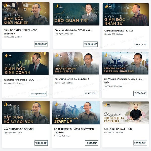 Trọn bộ Học Viện CEO Việt Nam của Thầy Ngô Minh Tuấn